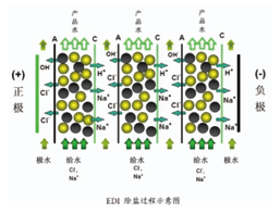wechat_2025-07-22_114257_189.png